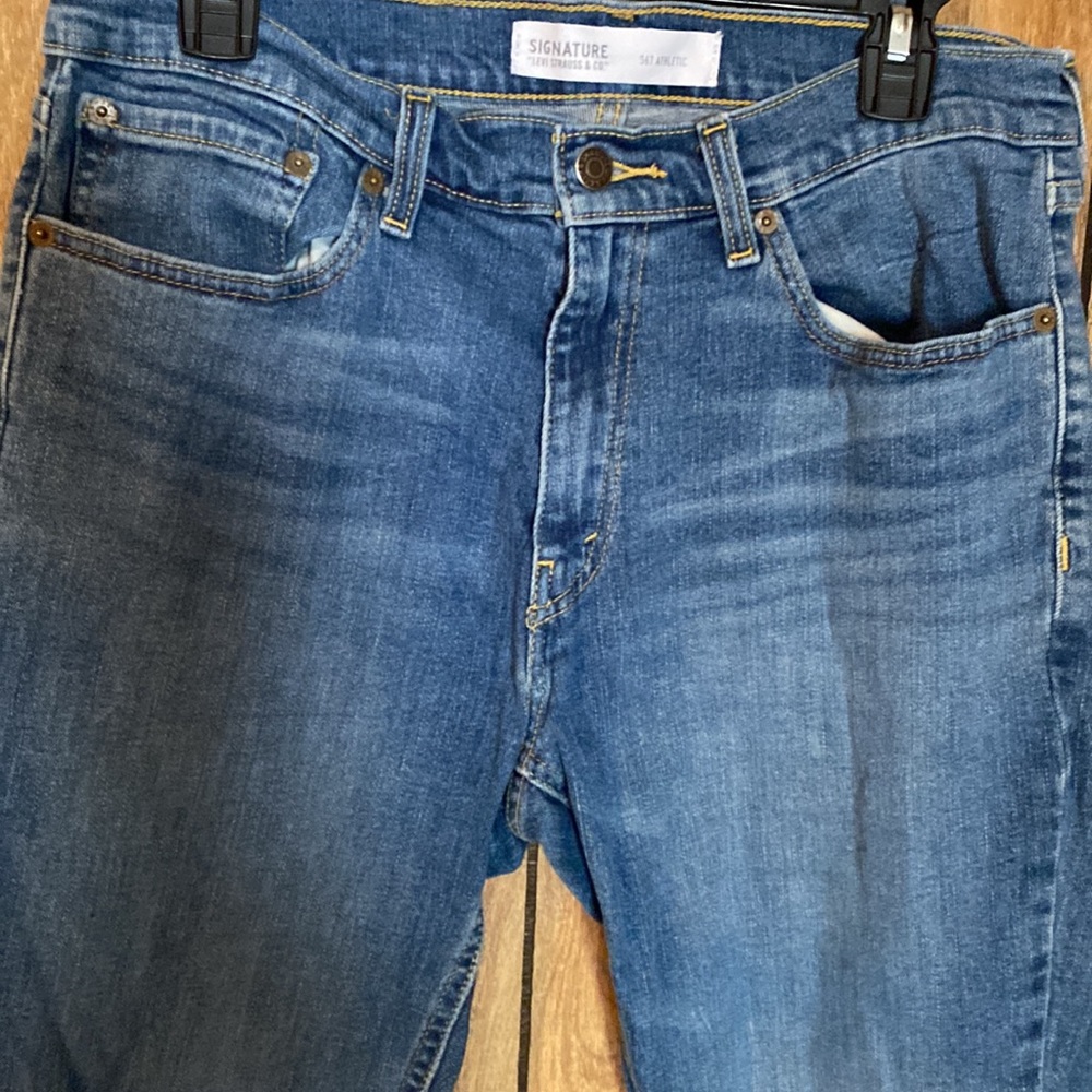 Levi - Picture 3 of 4